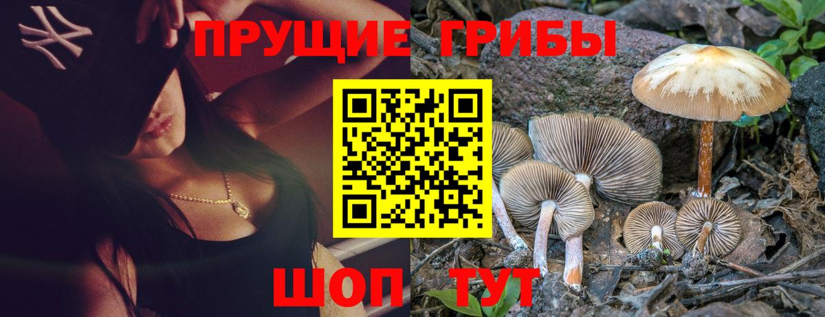 Симферополь  Псилоцибиновые грибы ЛСД  Вход с VPN 